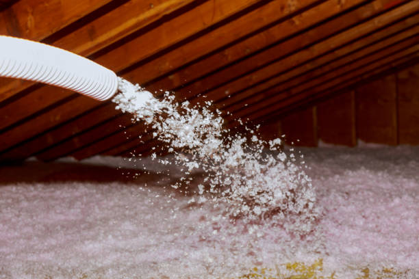Best Insulation Maintenance and Repair in Flushing, MI